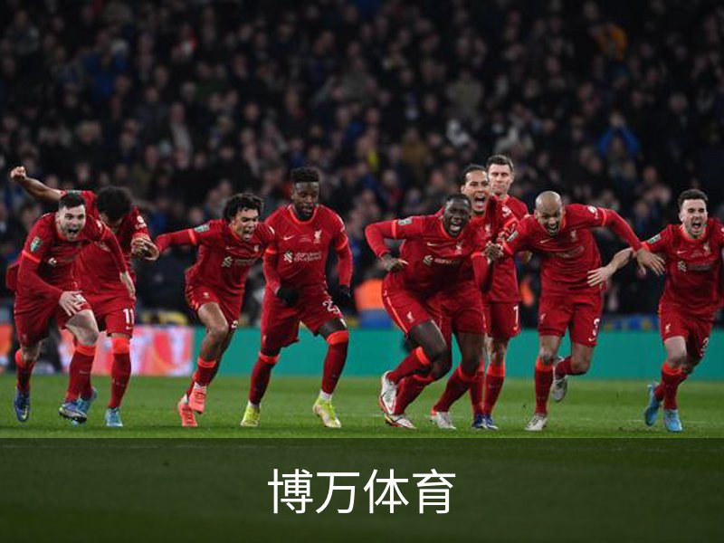 关于博万体育